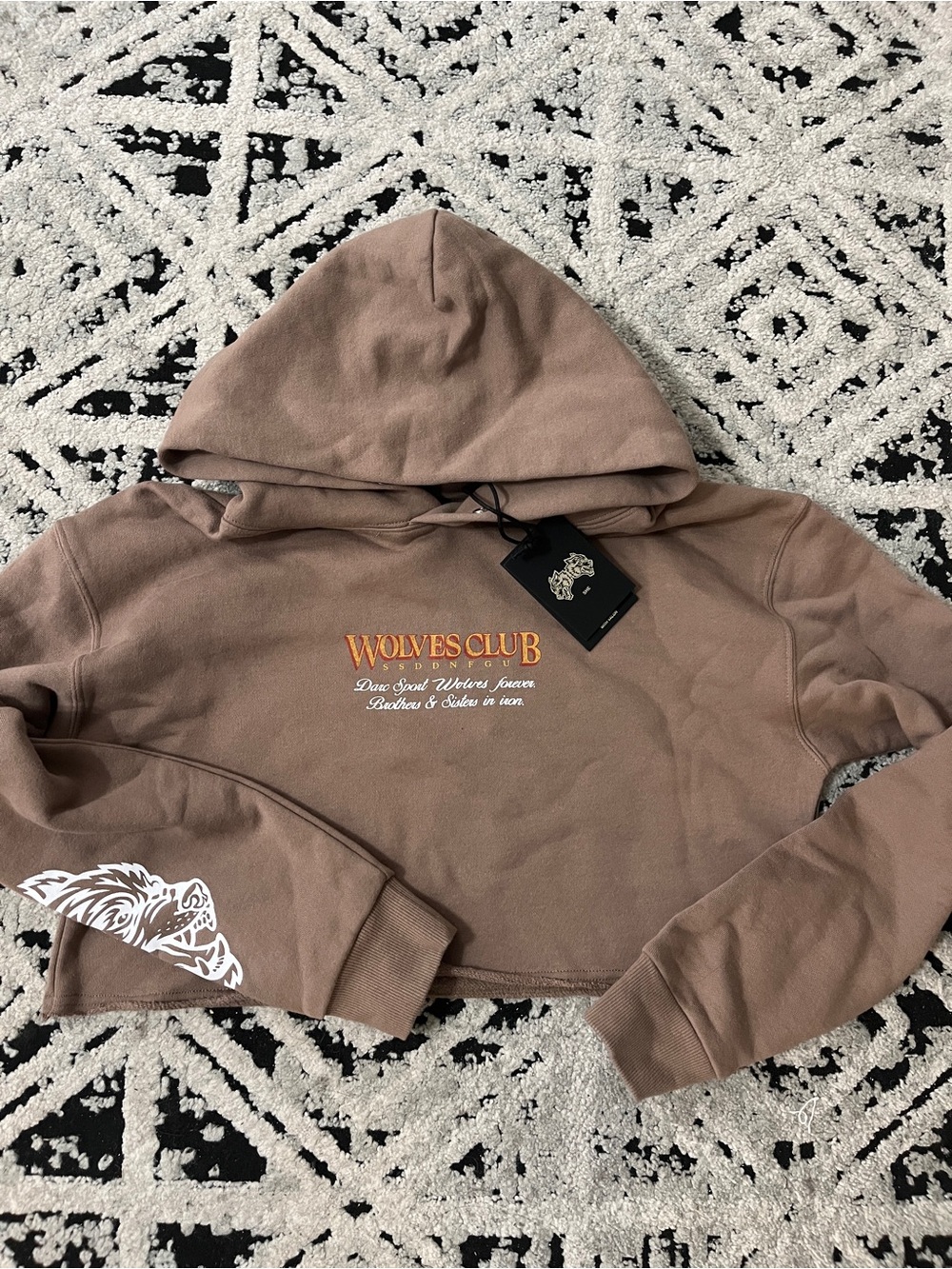 Darc Sport Wolves Club Cropped Hoodie in Mauve Brown